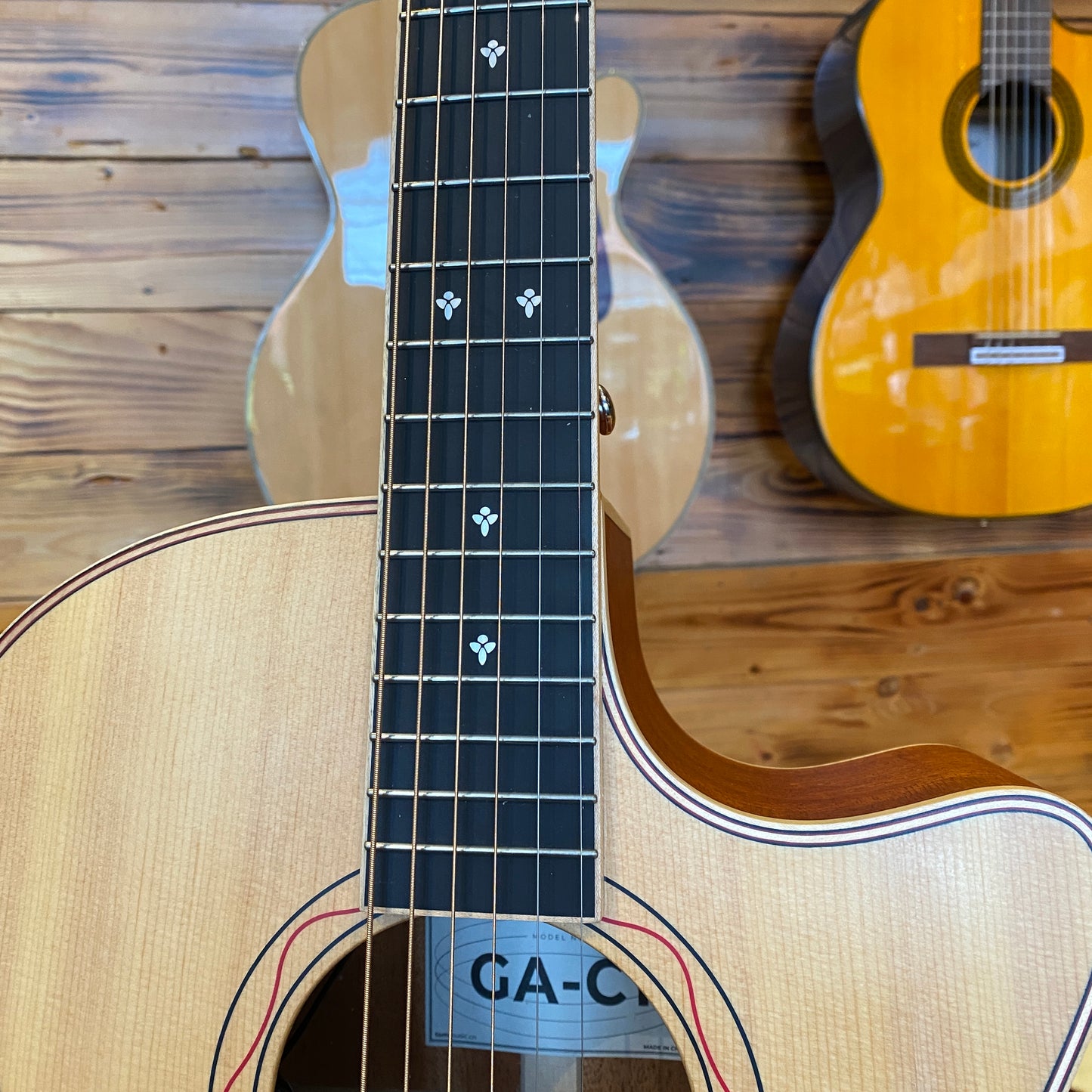 Tom Guitar - GAC1