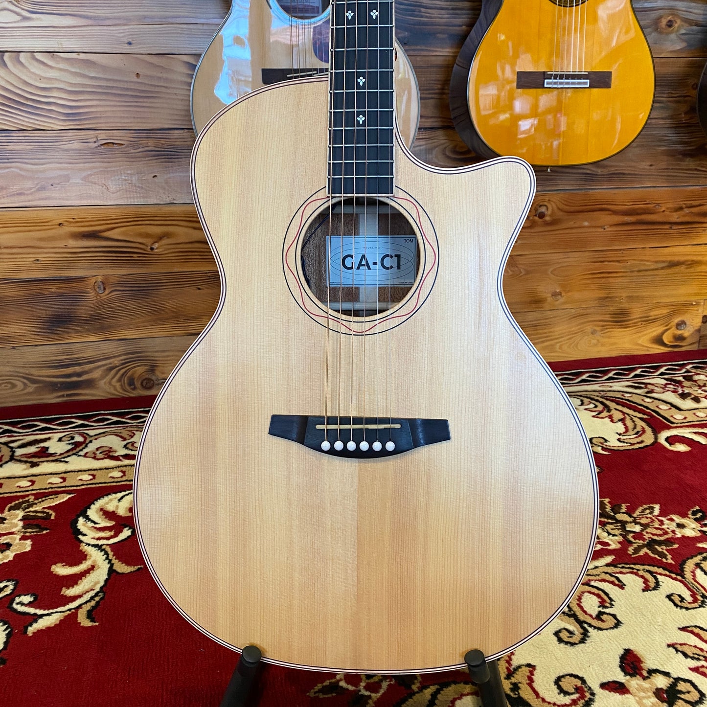 Tom Guitar - GAC1