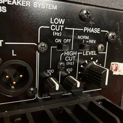 Yamaha HS8S